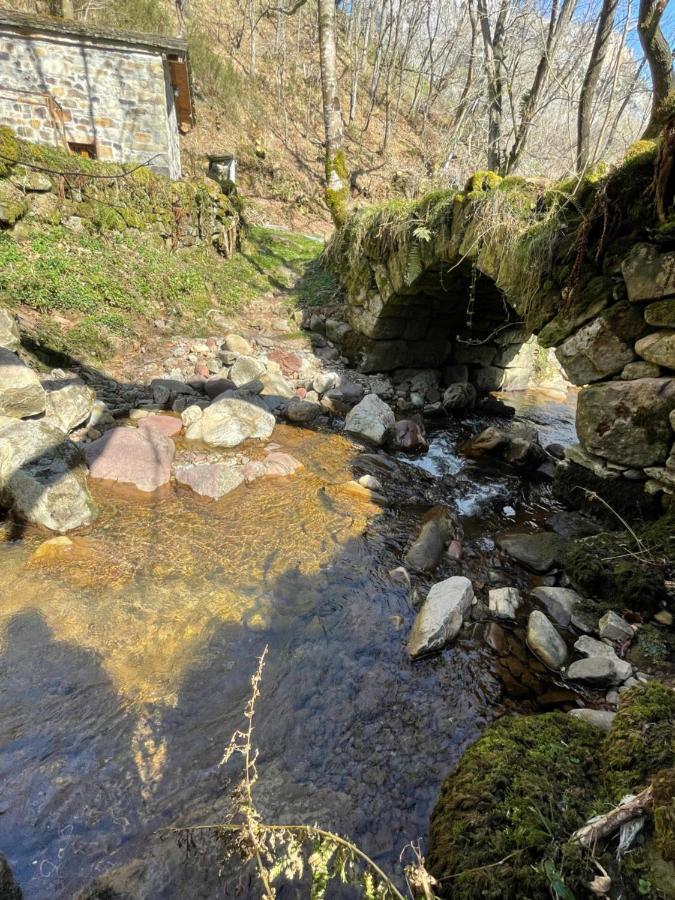 La Del Rio Ferienhaus San Roque de Ríomiera